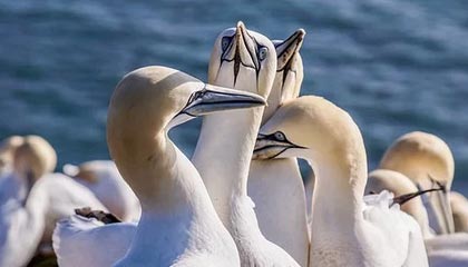 爆笑！热搜背后终于有人说出，相关人员沉默了，热搜是啥玩意