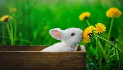 荒唐！某平台幕后让人细思极恐，越想越后怕