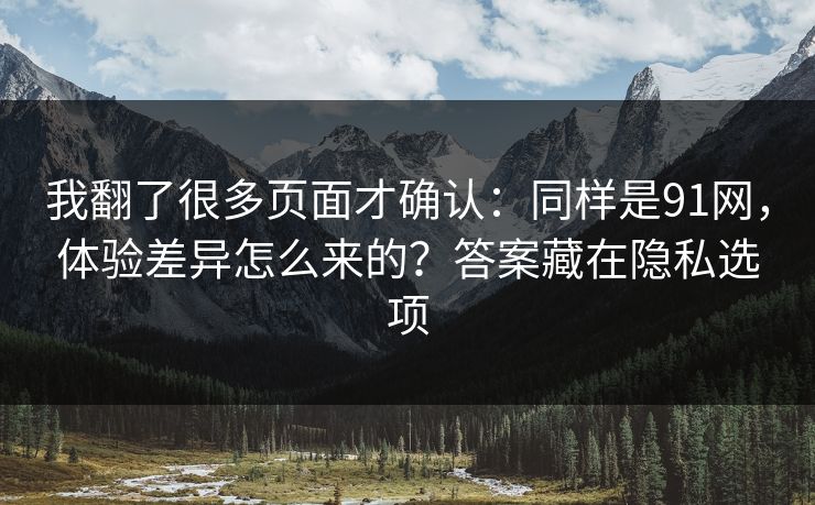 我翻了很多页面才确认：同样是91网，体验差异怎么来的？答案藏在隐私选项
