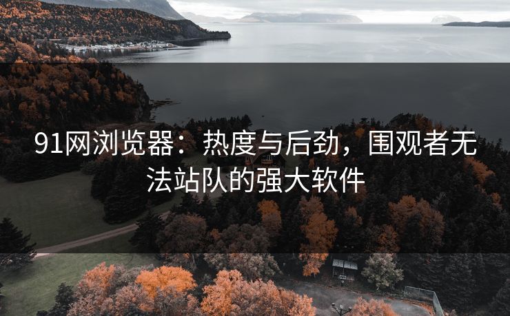 91网浏览器：热度与后劲，围观者无法站队的强大软件