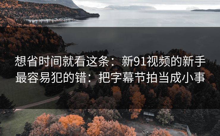 想省时间就看这条：新91视频的新手最容易犯的错：把字幕节拍当成小事