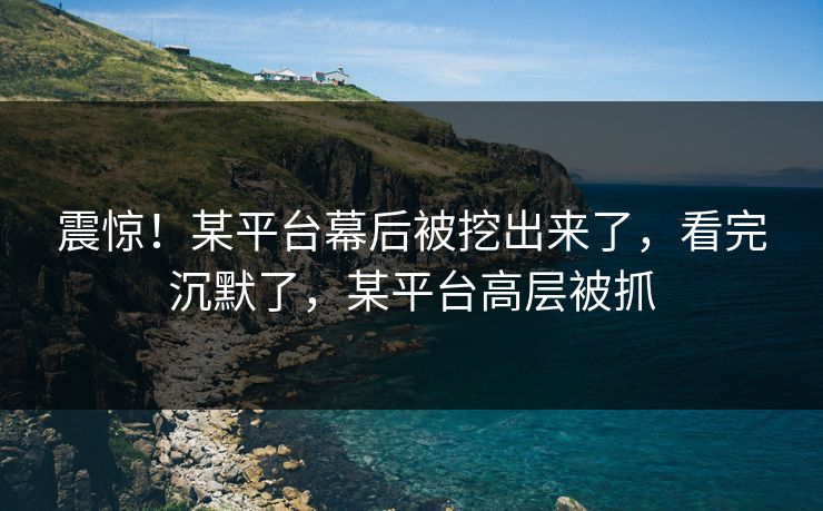 震惊！某平台幕后被挖出来了，看完沉默了，某平台高层被抓
