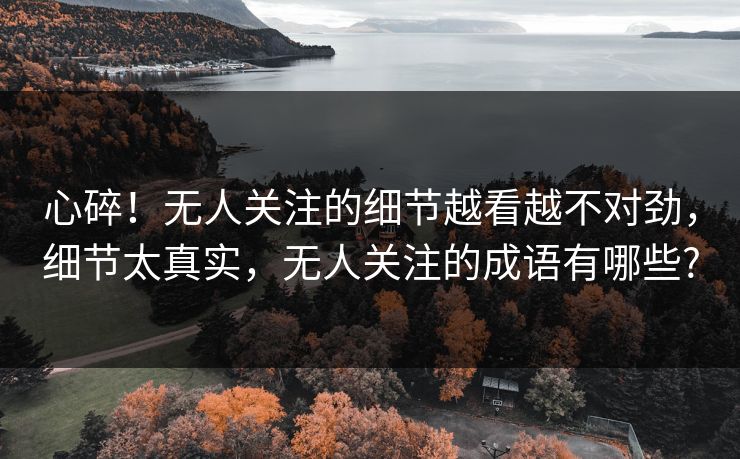 心碎！无人关注的细节越看越不对劲，细节太真实，无人关注的成语有哪些?
