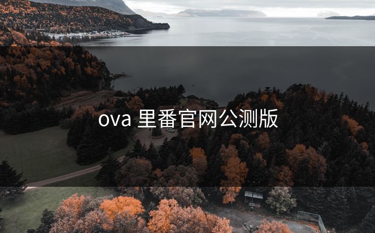 ova 里番官网公测版